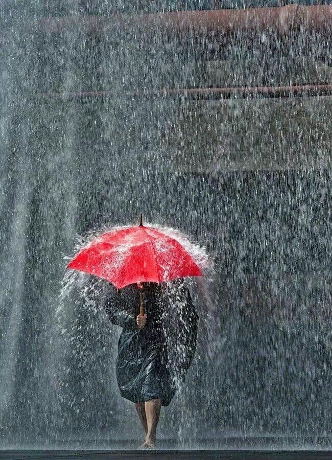 नैनीताल: जिले में भारी से भारी बारिश का रेड अलर्ट, जारी हुए यह आपातकालीन नंबर