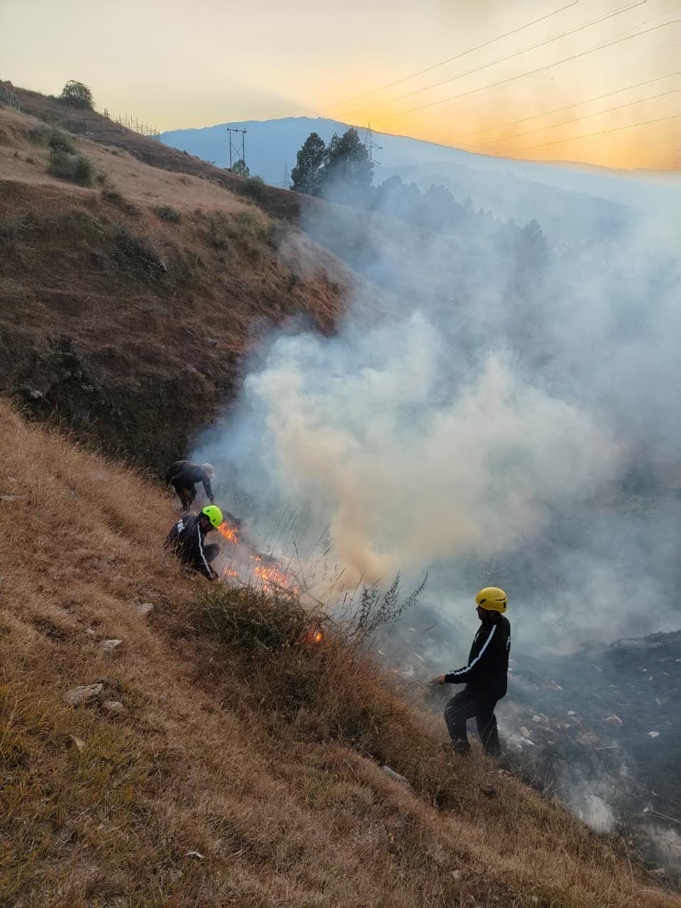 अल्मोड़ा: मानसखंड विज्ञान केंद्र के पास धधकी आग, त्वरित कार्रवाई व इनोवेटिव तरीके से पाया काबू