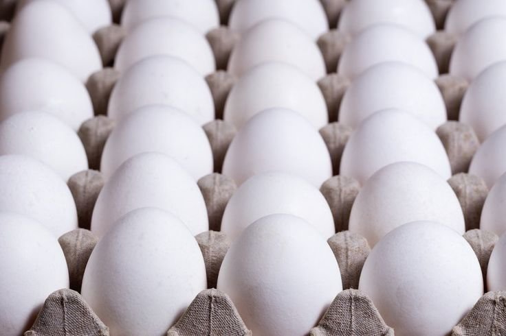 इस राज्य में सरकार का बड़ा फैसला, अब बिना ‘डेट’ वाले अंडों की बिक्री पर लगी रोक